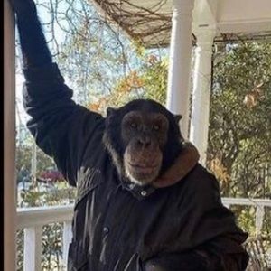 Meet your Posher, Ethan